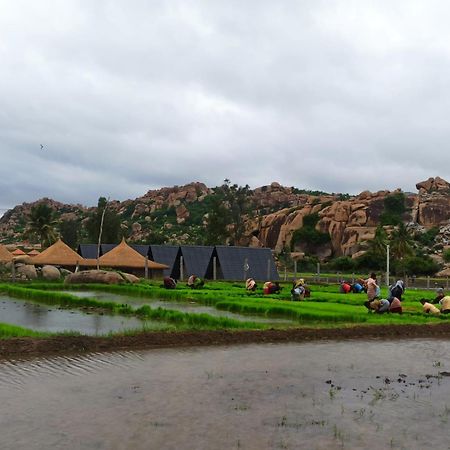 Golden Chariot Resort Hampi Dış mekan fotoğraf