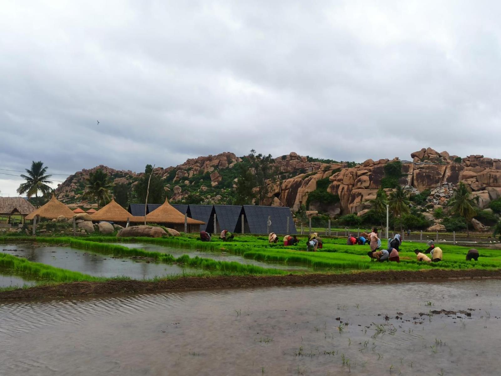 Golden Chariot Resort Hampi Dış mekan fotoğraf